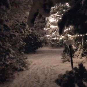 Meet your Posher, Eunece